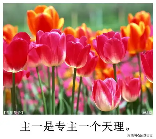  1086期