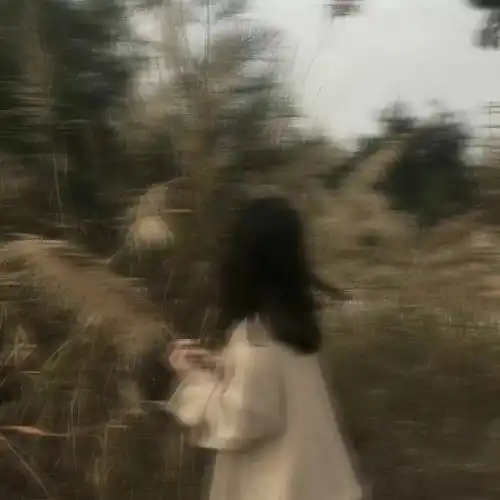  女头与岁月对望