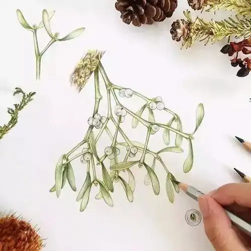 简单的头像清新脱俗摆摊