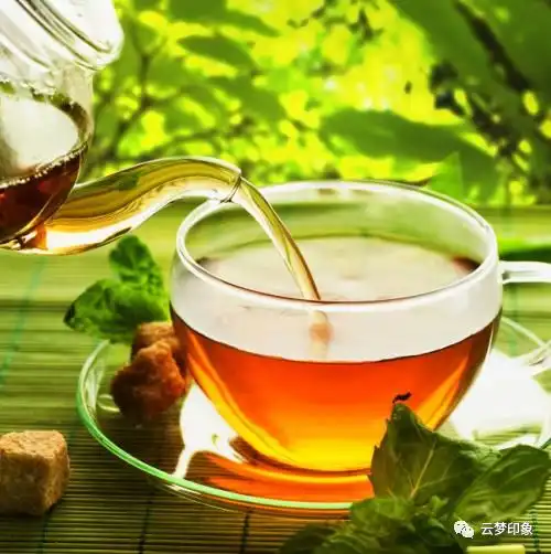 茶与人生微信头像