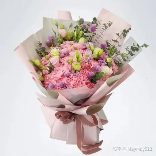  康乃馨送给伟大的母亲的花