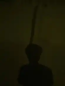  云南美景中的兄弟足迹