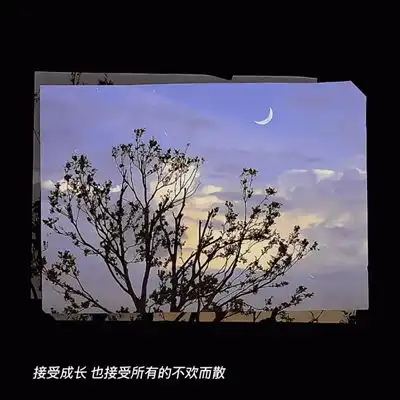  2023最新唯美风景头像
