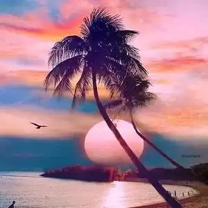  朋友圈封面唯美意境海滩风景图片