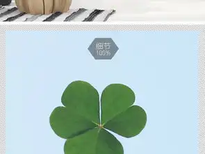  幸运四叶草玄关装饰画图片设计素材高清模板下载62.40mb植物花卉装饰画大全