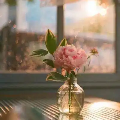  向来情深,奈何缘浅