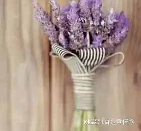  送给正在经历坎坷的你我,四句漂亮的话,透彻