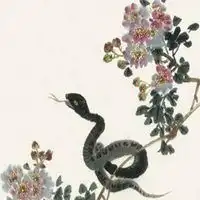  属蛇的微信头像最招财微信头像图片大全