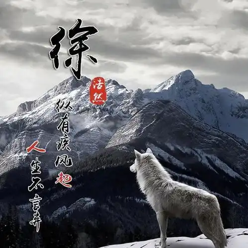  你该换个微信头像了,3d立体高端个性签名头像,有你喜欢的吗