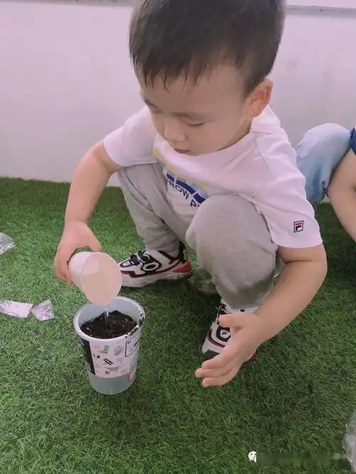  阳光下的向日葵记永兴佳园幼儿园大一班班本课程