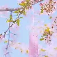  2021年最好的微信头像2021最好看个性头像