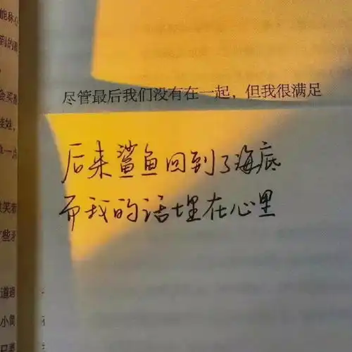  emo文案朋友圈里未必是朋友但黑名单里总有故友