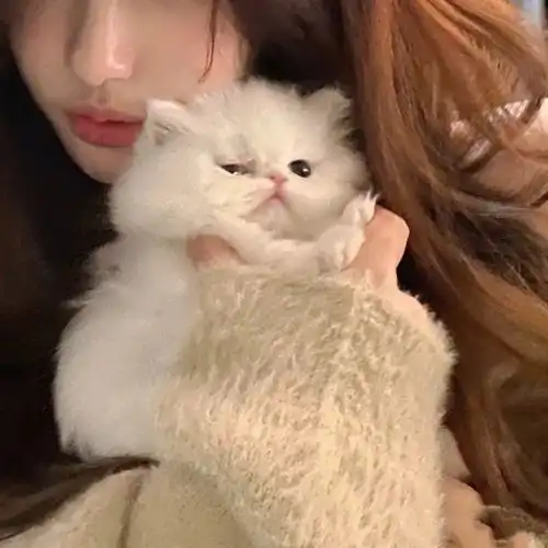  仙女头像合集生活枯燥乏味,仙女假装人类
