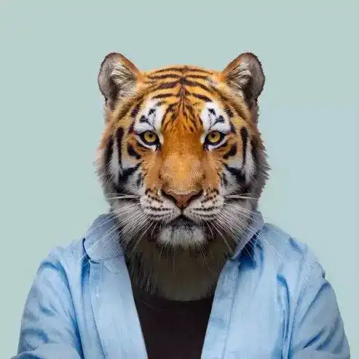  你一定没见过这么一本正经的证件照