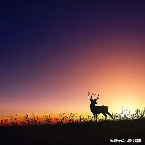  阳光心态正能量句子