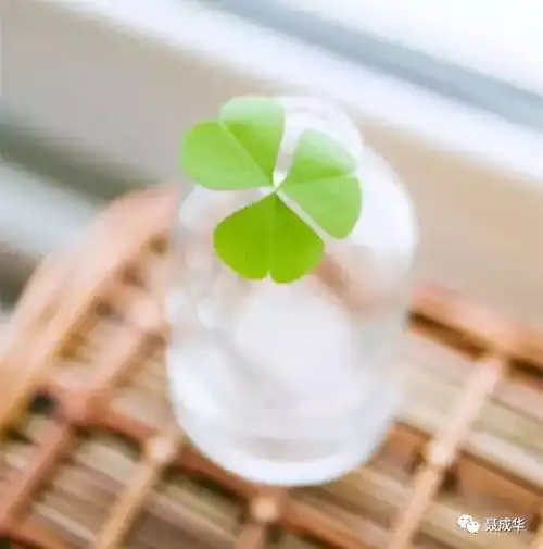  10篇读者卷首语,经典好文
