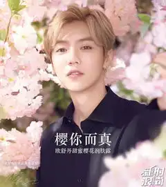 鹿晗也被拿下美妆品牌把男明星抢光了