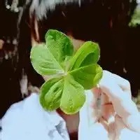  以前的一张板绘女忍者