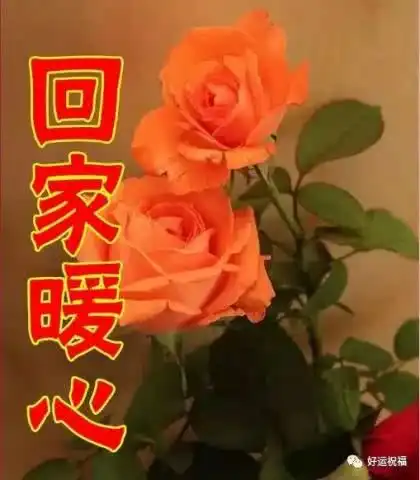  今天是女人节,最美的祝福,送给全天下最辛苦的女人快打开看看