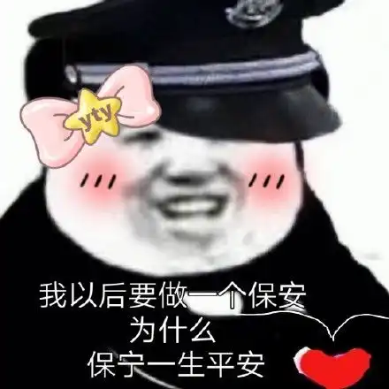  对不起其实我是一名保安保宁一生平安