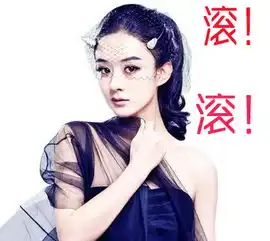  赵丽颖头像带文字滚