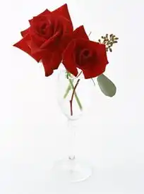 插在玻璃杯中的一朵玫瑰花图片花草树木图片插在玻璃杯中的一朵玫瑰花图片花草树木图片
