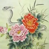  最旺财的微信头像属蛇招财微信头像图片大全