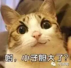  凤岗一非法网约车被查竟然暴力对抗,乱砸乱骂...
