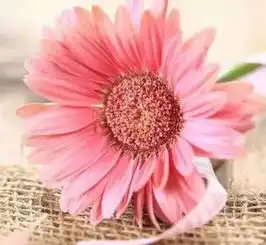  宁愿像疯子一样糊涂,也不要像精明人一样算计