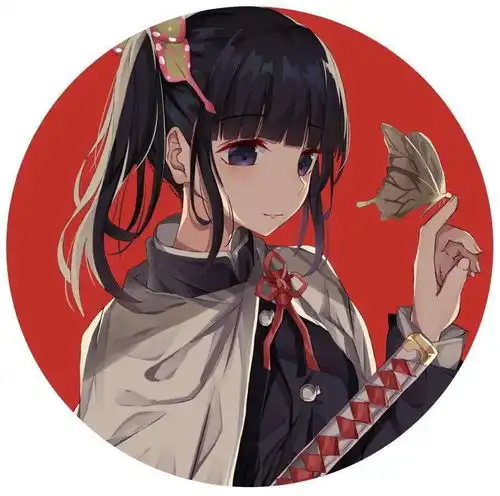  动漫