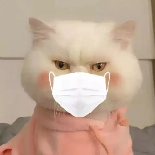  你的微信头像该换了100张口罩头像