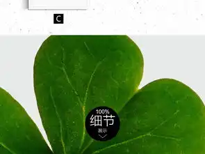  现代简约四叶草小清新植物装饰画北欧无框画图片设计素材高清模板下载21.53mb植物花卉装饰画大全