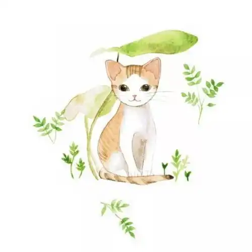 指尖轻绘,伞上开花,个性天堂伞了解一下