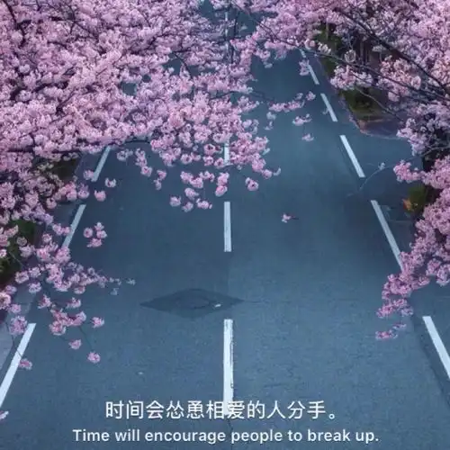 微信朋友圈背景图