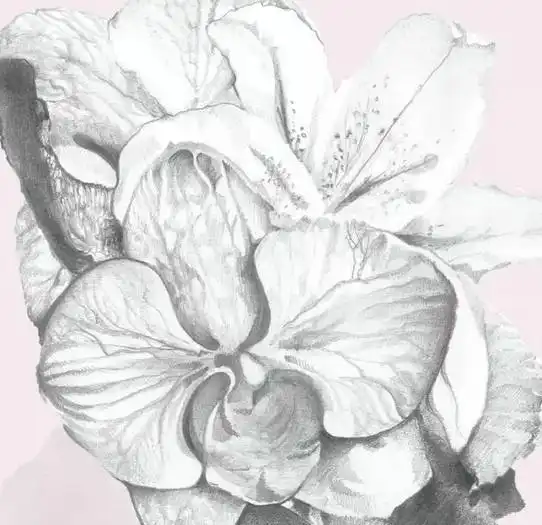  趣味干货清新脱俗的时尚插画magdalenakruszynska