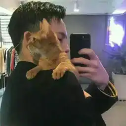  能找到这这张图的情侣头像吗跪求啊
