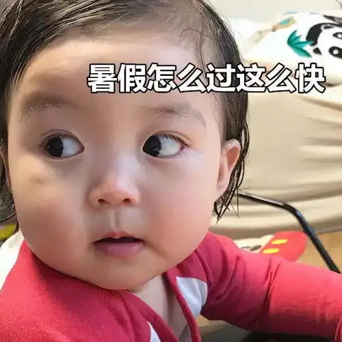  是你的新学期指南没错了