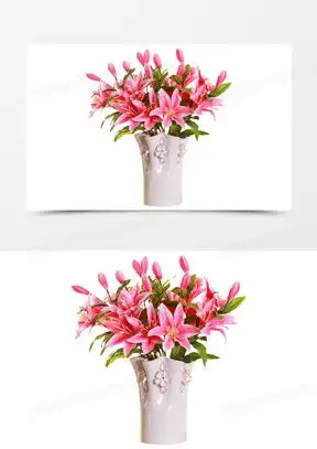  百合花图像微信头像大全