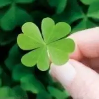  带来健康的微信头像微信头像图片大全