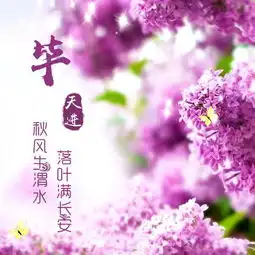 女人用的幸运花头像带字