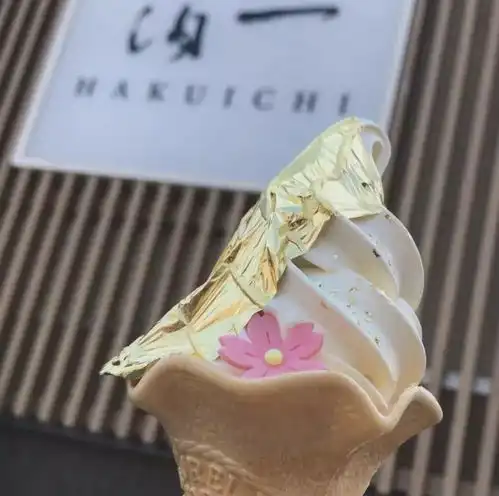  日本独一无二的绝品美食之都在排队吃的冰激凌
