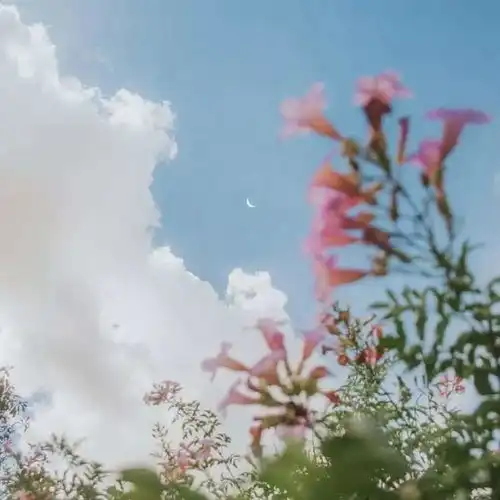  15天后,3星座敞开心扉,前任主动挽回,再次接纳真情