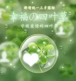  有四叶草图片么