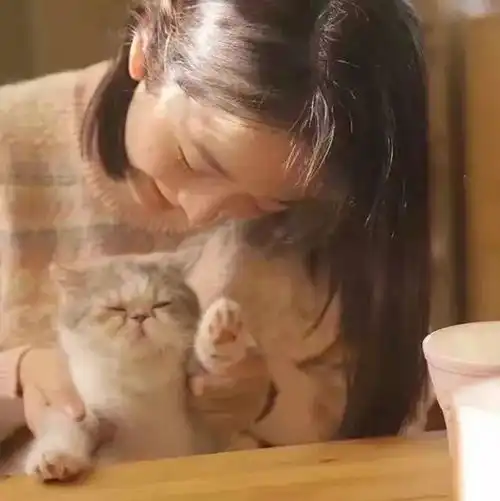  抱猫的少女