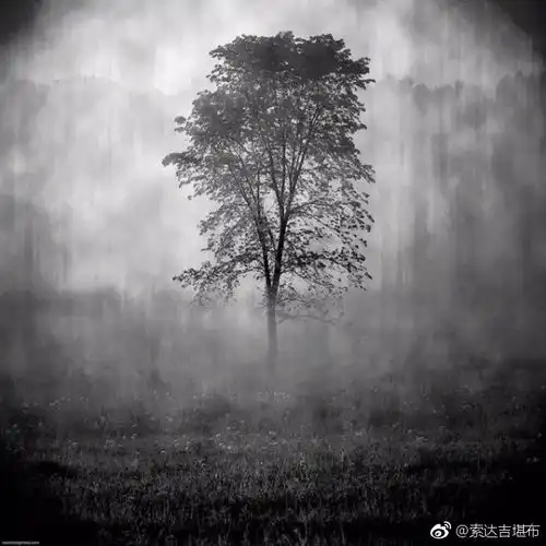 qq头像风景氛围感模糊黑