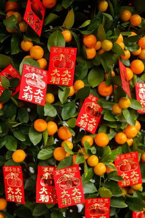  又逢春节,看看他们怎么过年
