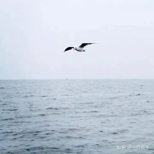微信头像图片钓鱼人背影