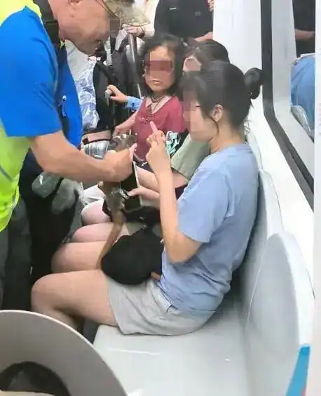  北京地铁一女子未让座被老人用拐杖打腿,北京警方老人被行拘