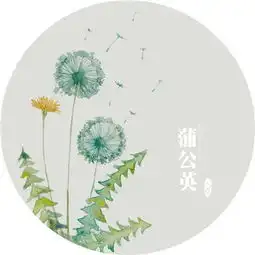  蒲公英头像2018图片唯美有意境你长得好像我下任男朋友