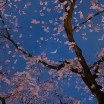  微信头像图片2021最新款花朵